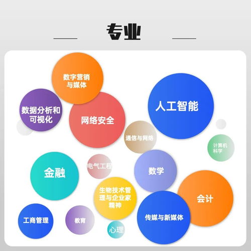 考研党专属机遇 热门专业调剂名额开放，人工智能公共数据平台成焦点